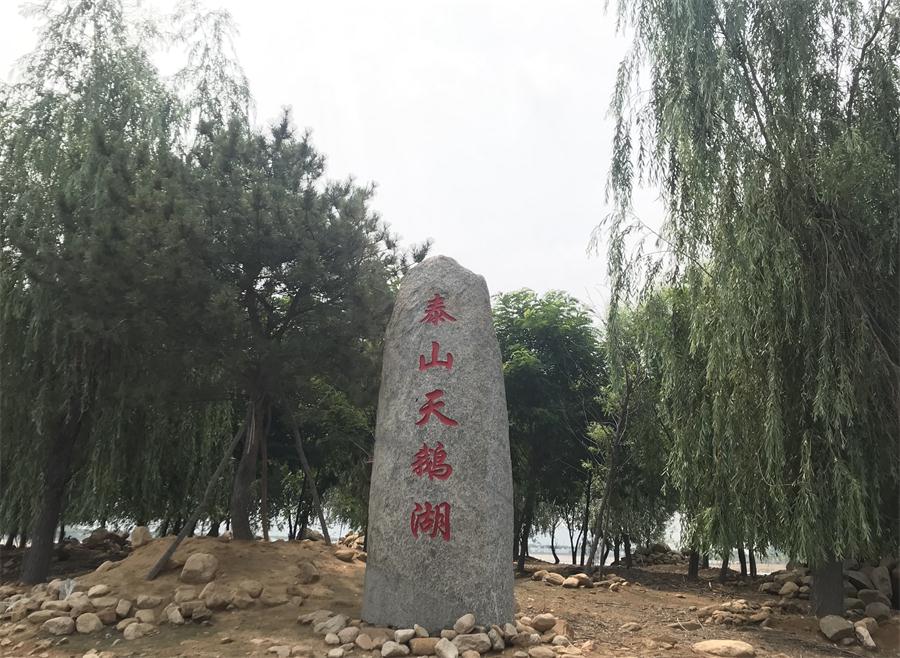 天鵝湖風(fēng)景區(qū)（泰山）速覽！(圖12)