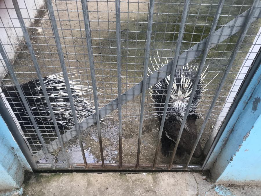 天鵝湖風(fēng)景區(qū)（泰山）速覽！(圖10)