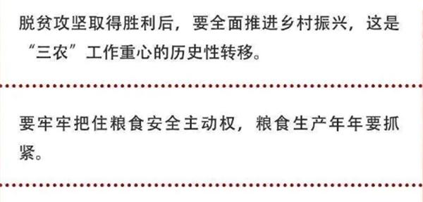 2020年中央農(nóng)村工作會(huì)議精神速覽！(圖2)