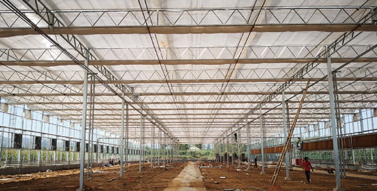 信橋鋼構：打卡蒙陰農(nóng)業(yè)溫室大棚、青州黑牛養(yǎng)殖基地！(圖3)