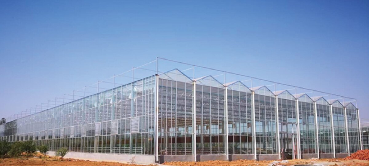 信橋鋼構：打卡蒙陰農(nóng)業(yè)溫室大棚、青州黑牛養(yǎng)殖基地！(圖2)